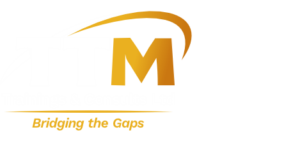 TTM Training Logo li
